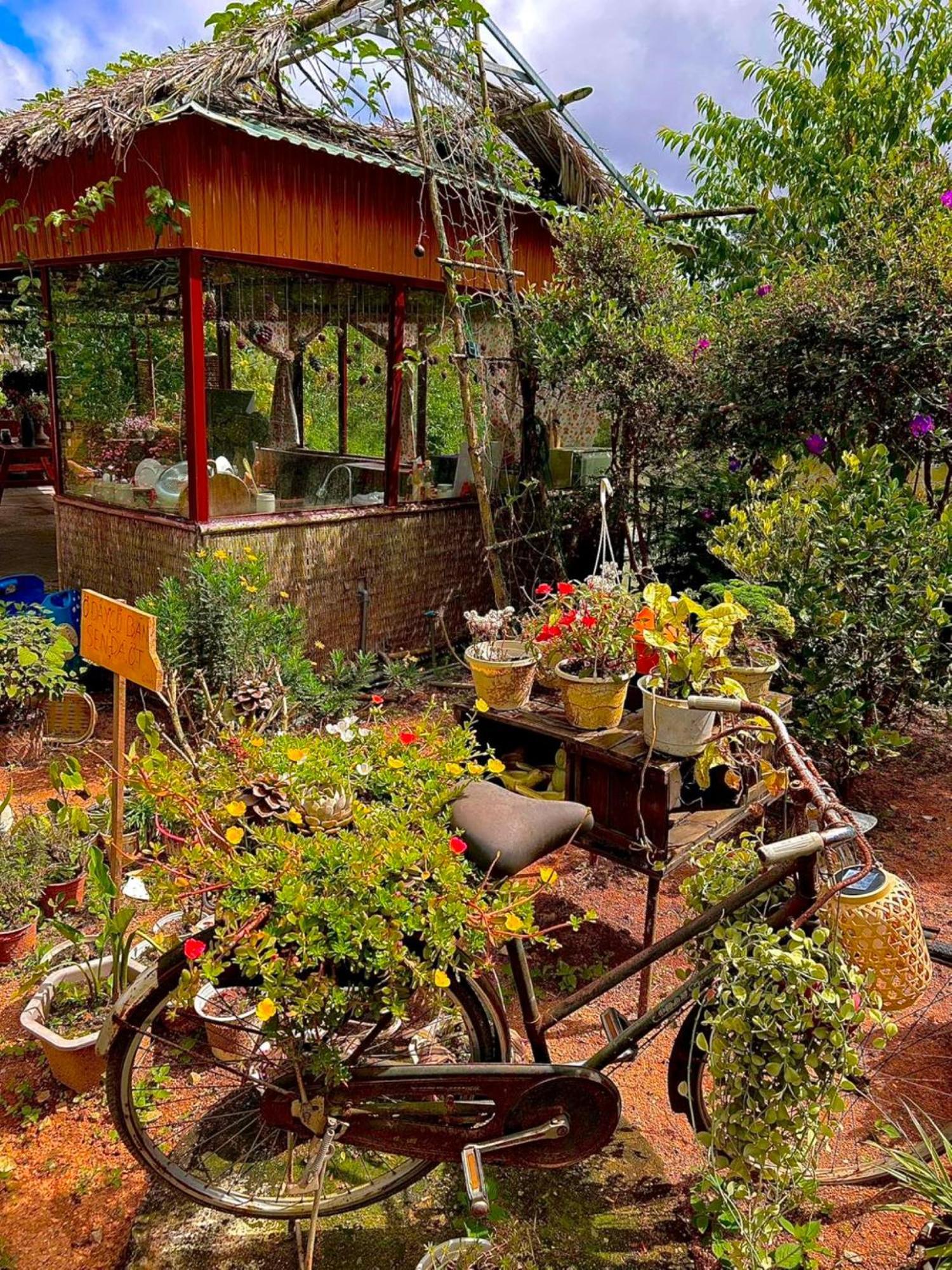 Nha Ben Ho - Da Lat Homestay Exterior photo